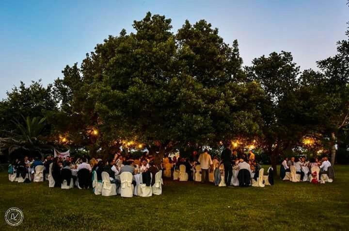 Agriturismo Villa Toscana Campiglia Marittima Dış mekan fotoğraf