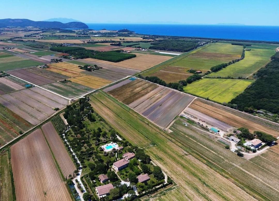 Agriturismo Villa Toscana Campiglia Marittima Dış mekan fotoğraf