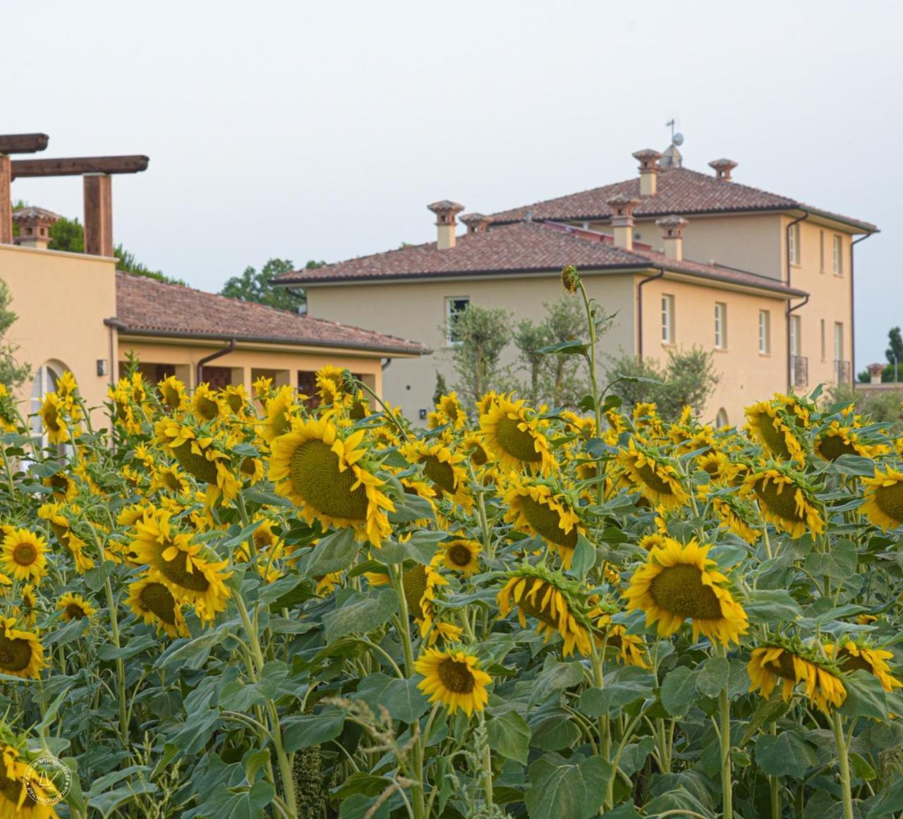 Agriturismo Villa Toscana Campiglia Marittima Dış mekan fotoğraf