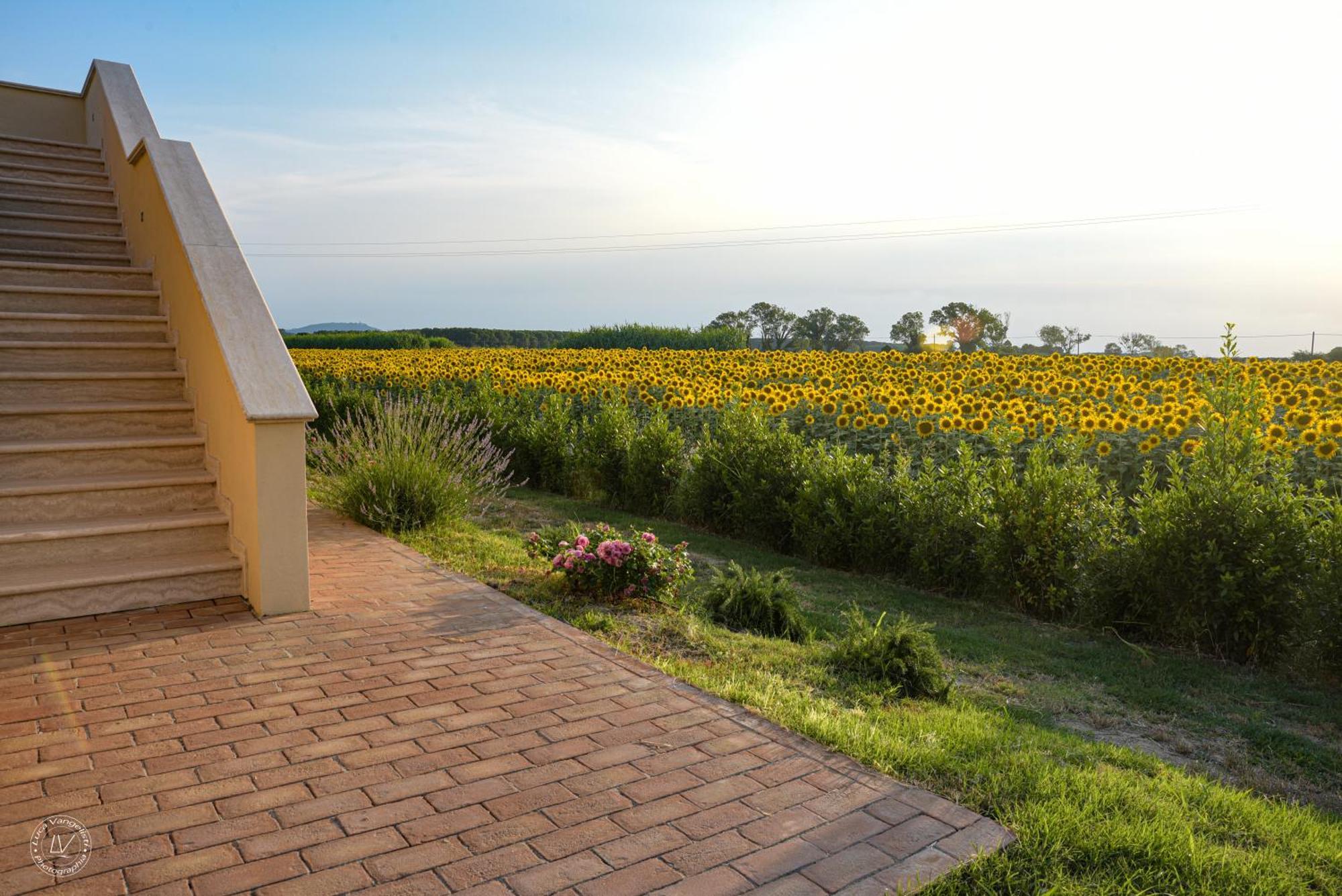 Agriturismo Villa Toscana Campiglia Marittima Dış mekan fotoğraf