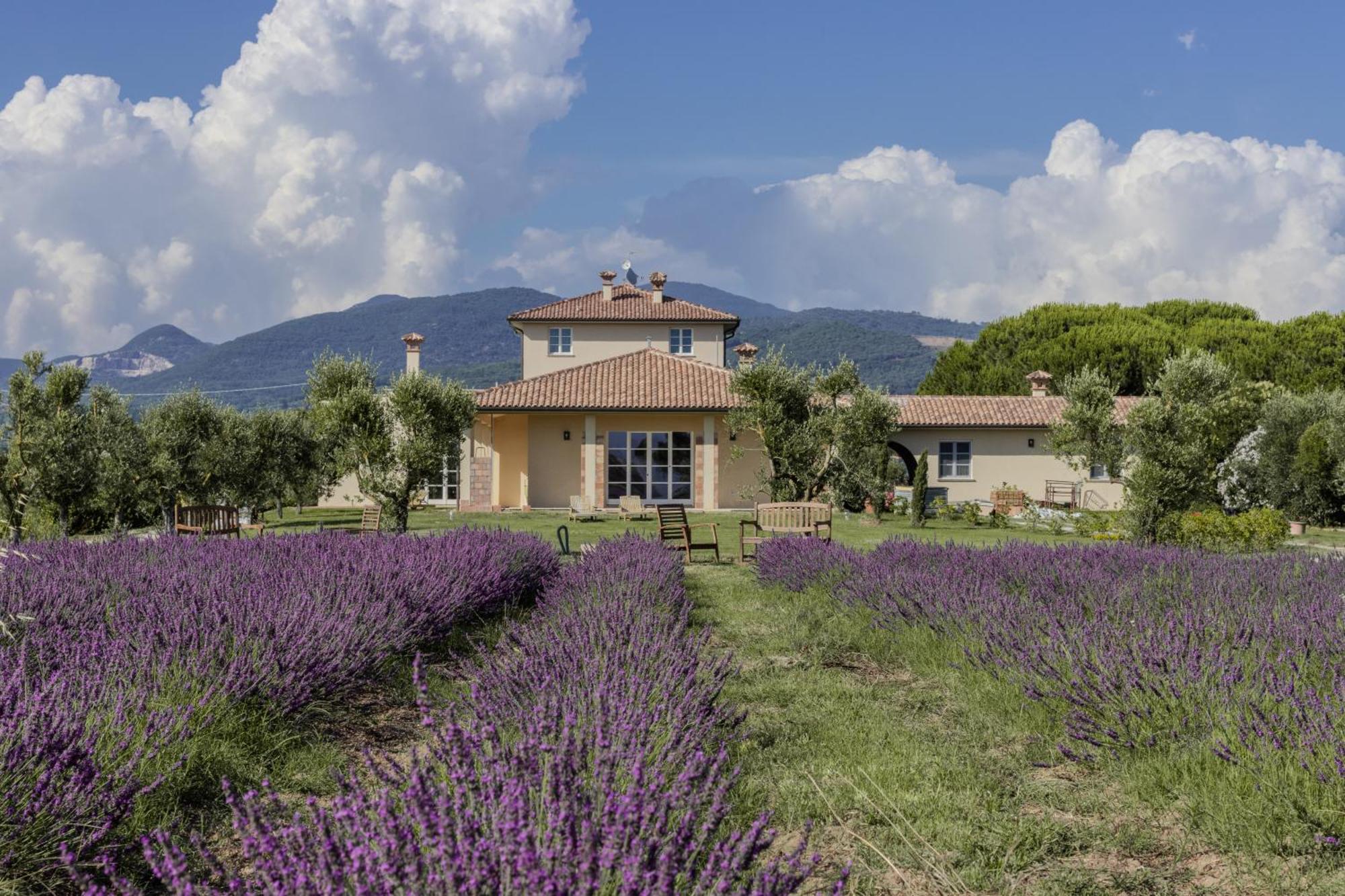 Agriturismo Villa Toscana Campiglia Marittima Dış mekan fotoğraf