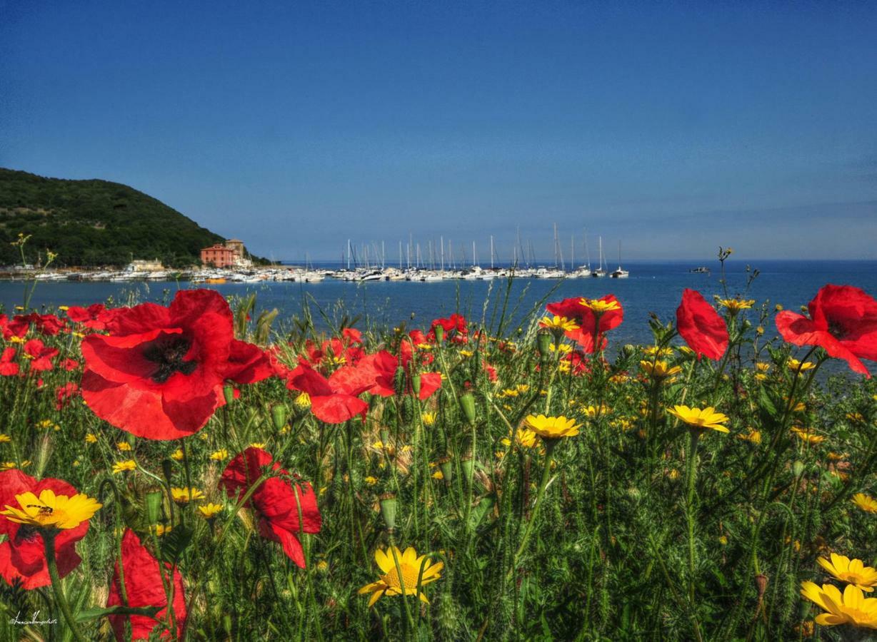 Agriturismo Villa Toscana Campiglia Marittima Dış mekan fotoğraf